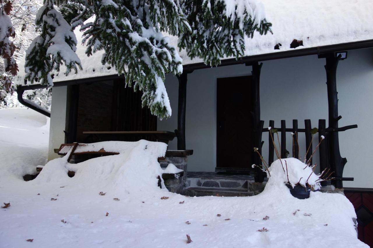 Вилла Forest House Верхника Экстерьер фото